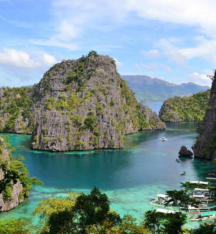 palawan solitary wanderer.JPG