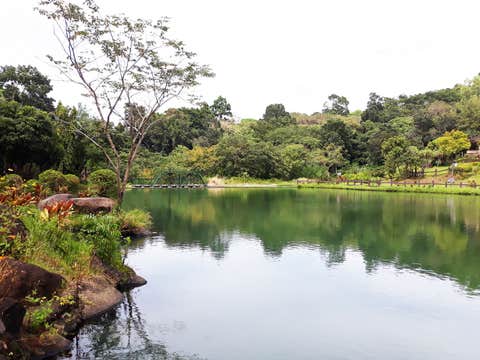 Day Tour to Mambukal Mountain Resort in Negros Occidental Province with Transfers from Bacolod City