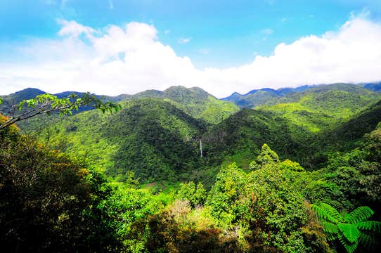 Private Tour to Don Salvador Benedicto Municipality in Negros Occidental Province from Bacolod City