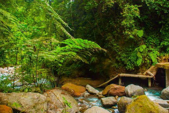 Tour to Casaroro Falls in Negros Oriental Province from Dumaguete City or Valencia Town with Lunch