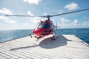 Southwest Helicopter used for tours