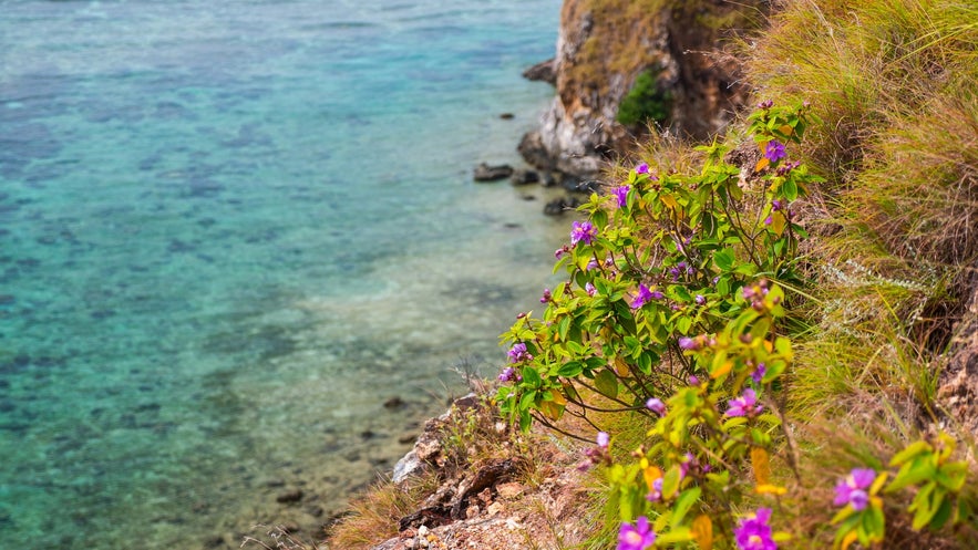 Mararison Island Mararison Island