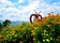 Sirao Garden Flower Farm
