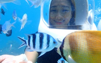 This helmet diving tour in Boracay Island lets you get up close to vibrant fish while exploring the ocean floor.
