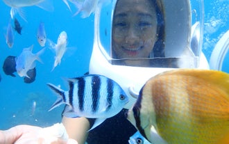 This helmet diving tour in Boracay Island lets you get up close to vibrant fish while exploring the ocean floor.