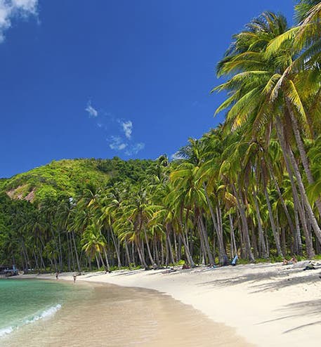 Beach Tours