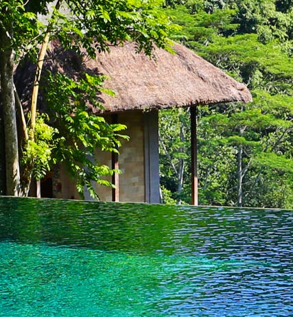 Hot and Cold Spring Tours