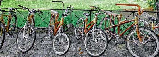 Biking Tours