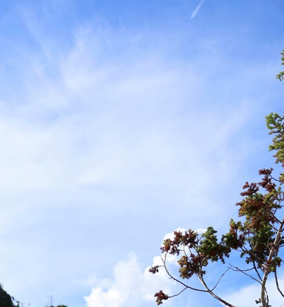 Temple of Leah Tours