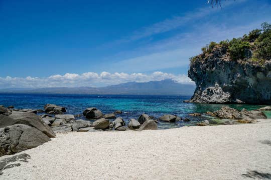 Apo Island Private Tour with Lunch & Transfers from Dumaguete City