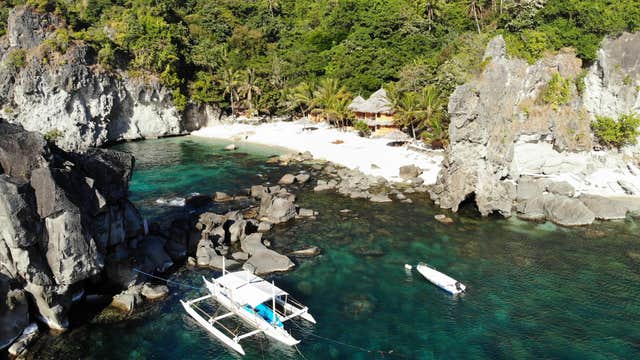 Apo Island Private Tour with Lunch & Transfers from Dumaguete City