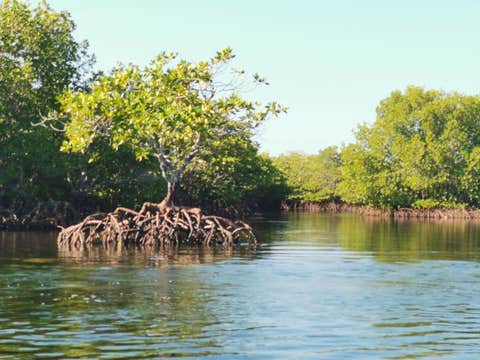 Zamboanga Pink Sand Sta. Cruz Island Private Tour with Vinta Ride, Lunch & Transfers