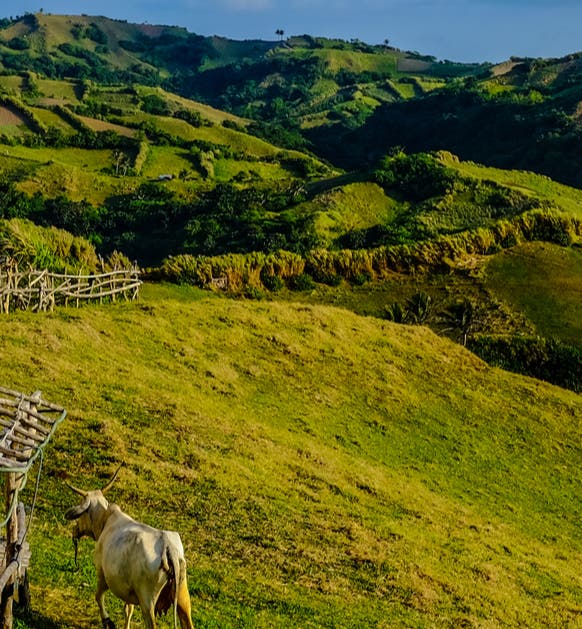 Basco Tours