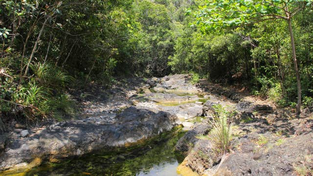 Aklan Jawili Falls & Sightseeing Tour with Lunch & Transfers