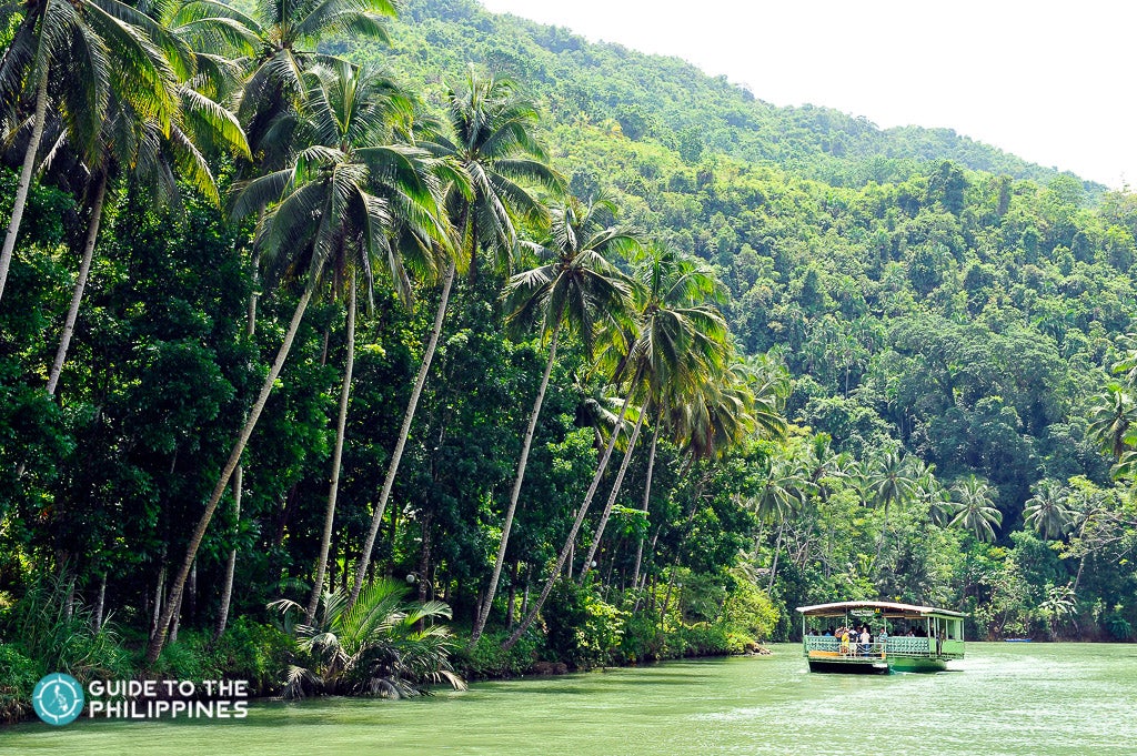Boat cruise in Loboc River, Bohol
