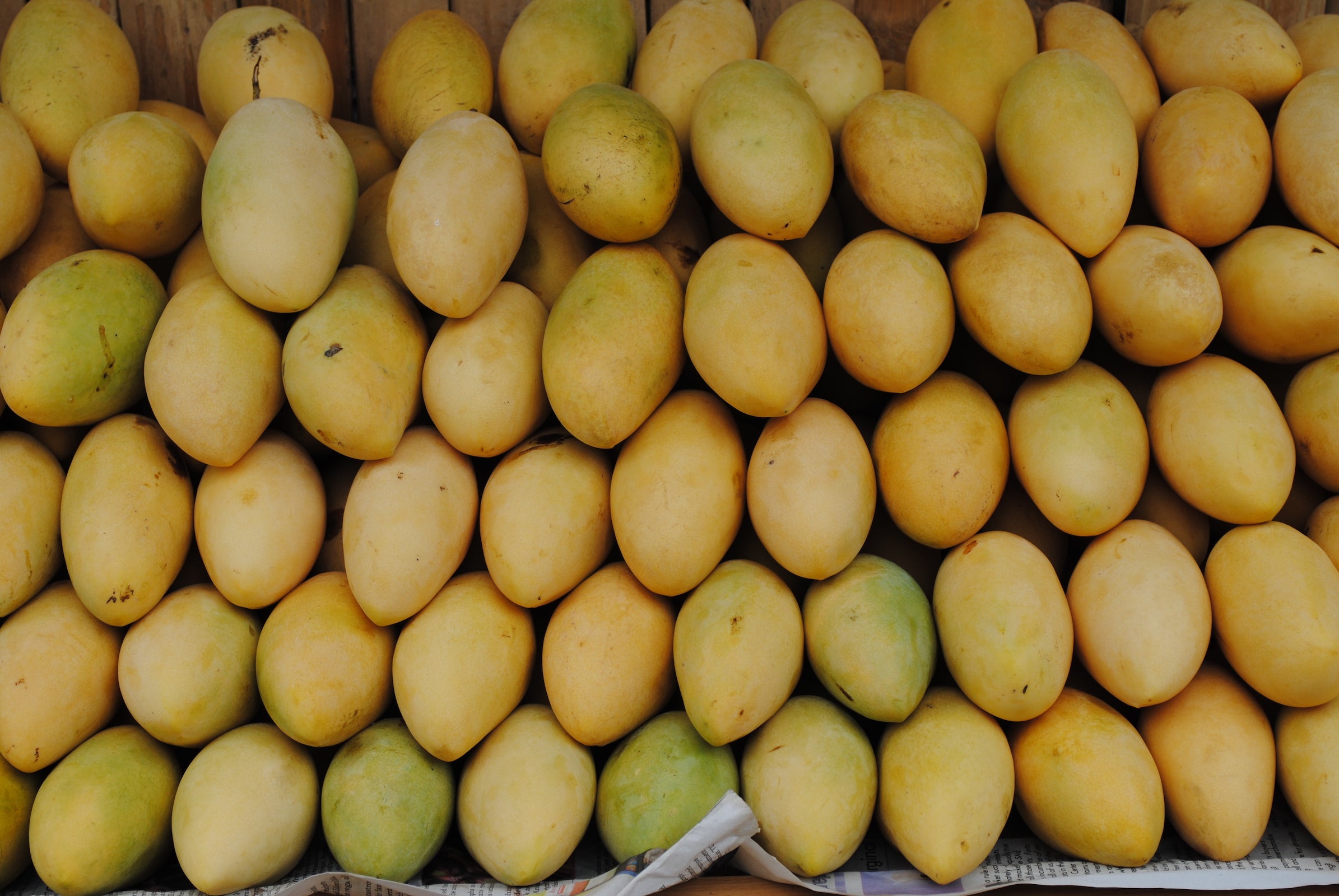 Taklong Island National Marine Reserve Tour & Guimaras Top Land Attractions with Lunch