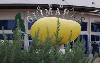 The famous Guimaras mango signage