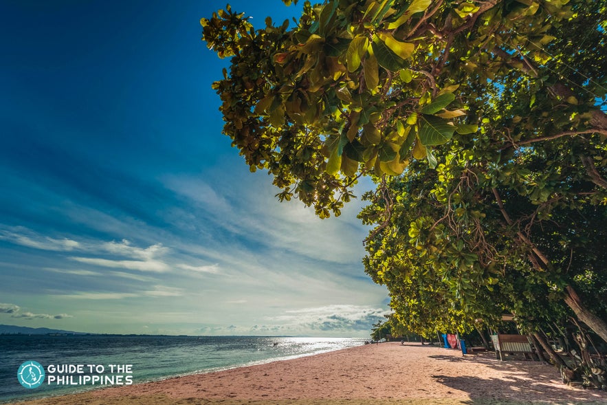 Pink Beach in Great Santa Cruz Island, Zamboanga City, Philippines Pink Beach in Great Santa Cruz Island, Zamboanga City, Philippines