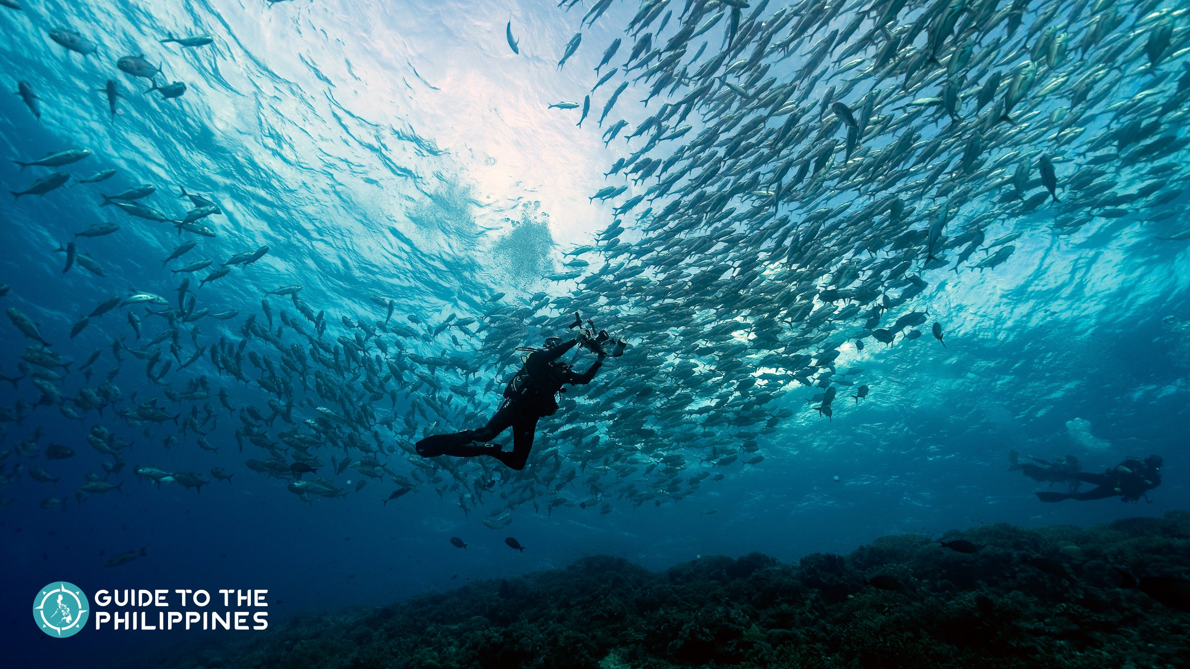 Diving in Tubbataha Reef, Philippines