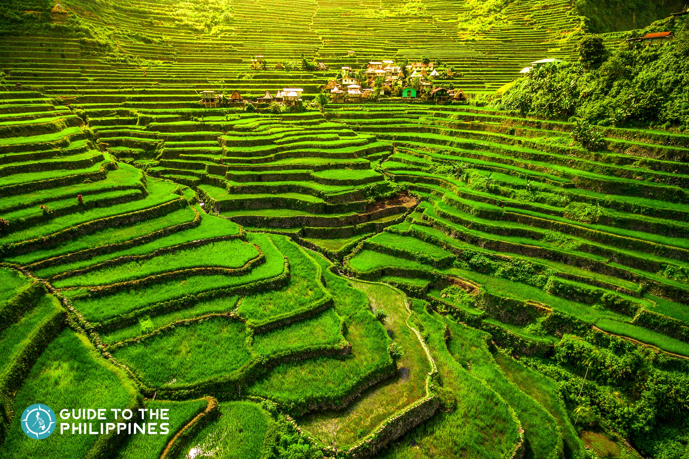 Banaue Rice Terraces in Ifugao