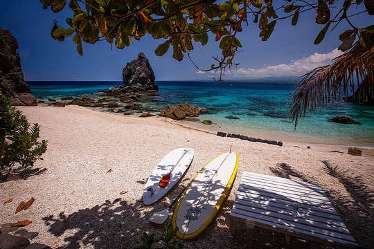 Private Tour to Apo Island Marine Sanctuary in Negros Oriental Province from Dumaguete City