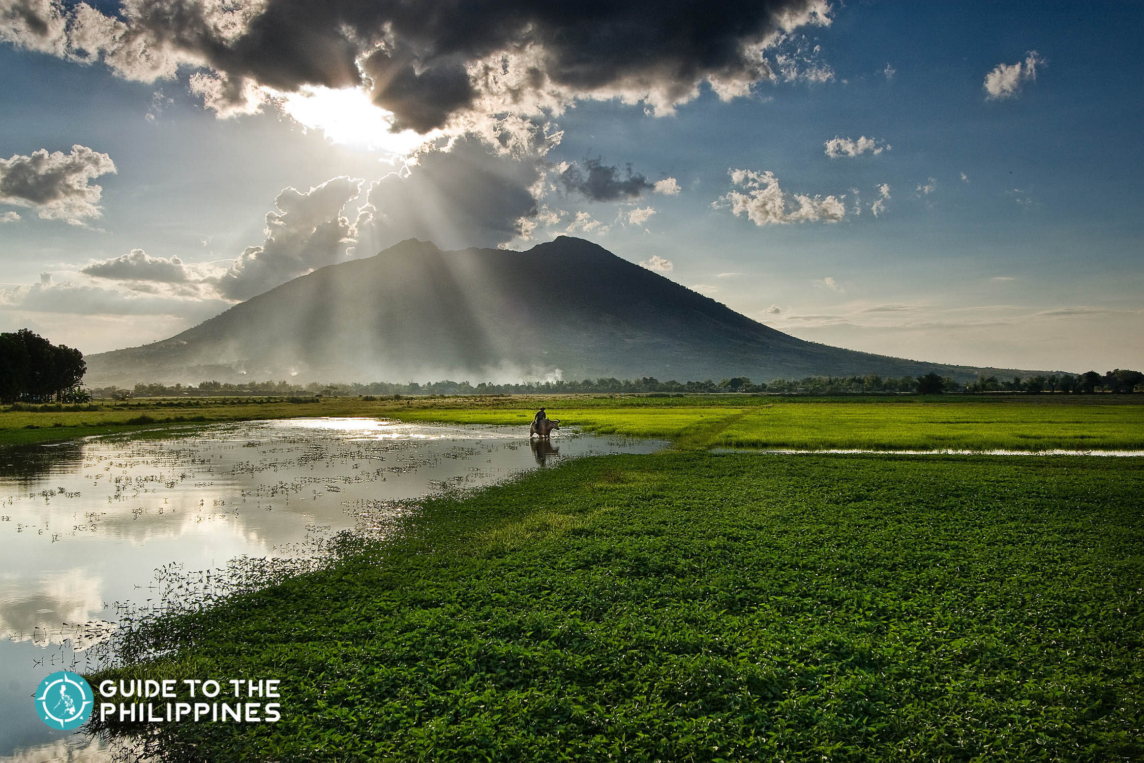 View of Mt. Arayat