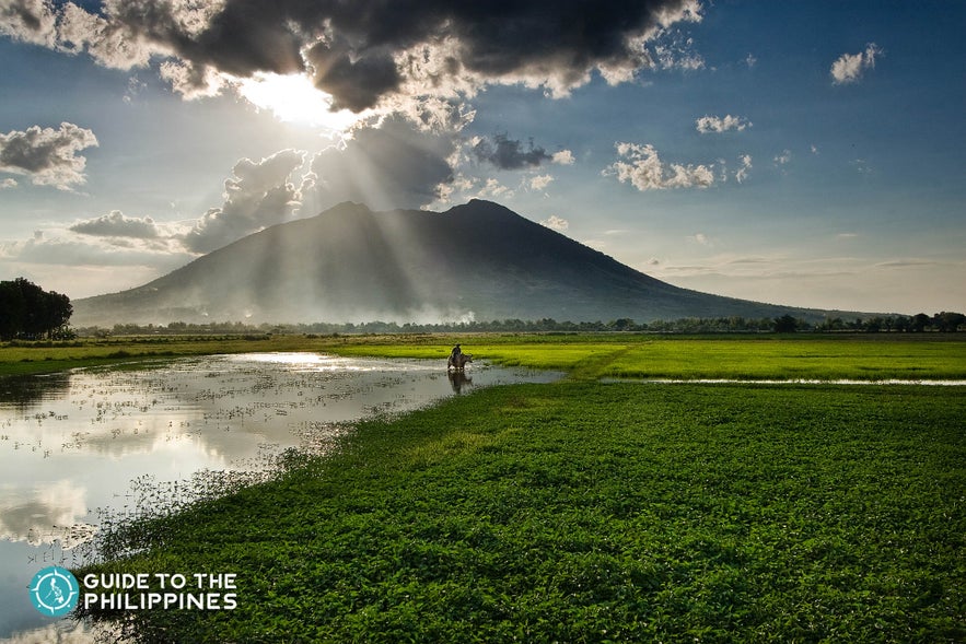 View of Mt. Arayat View of Mt. Arayat