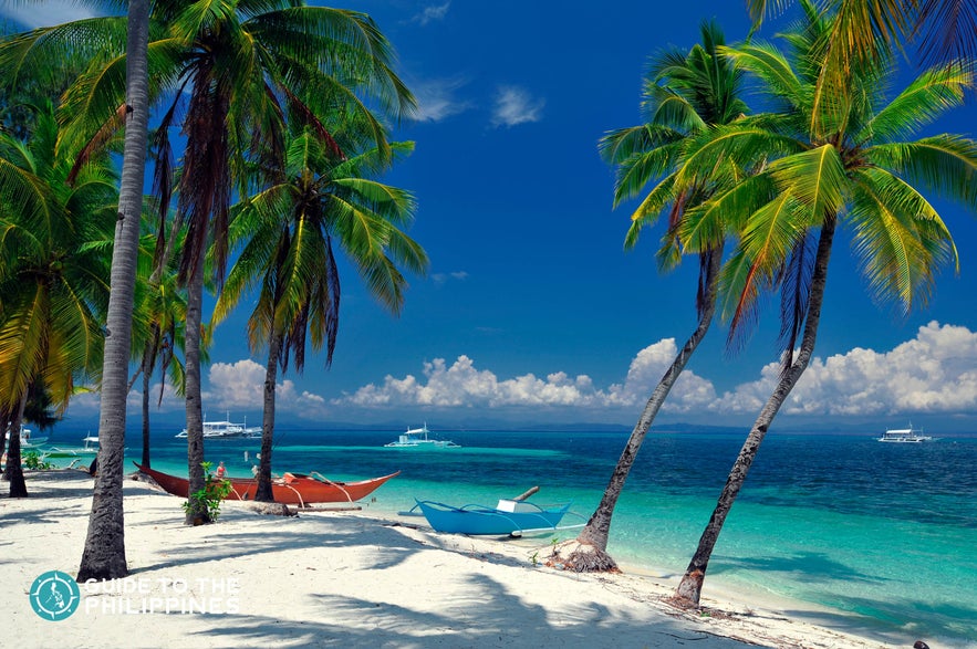 Tropical trees and boats on dock in a beach in Malapascua Tropical trees and boats on dock in a beach in Malapascua