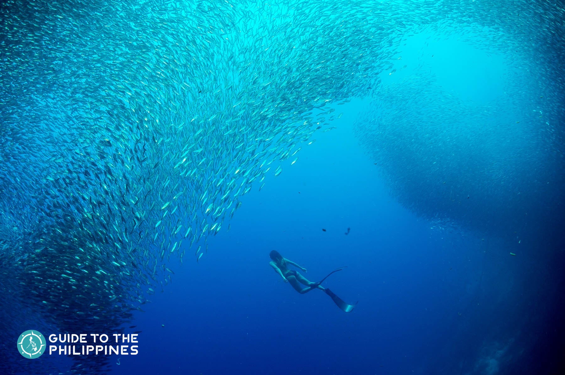 Girl diving in Moalboal Sardine run