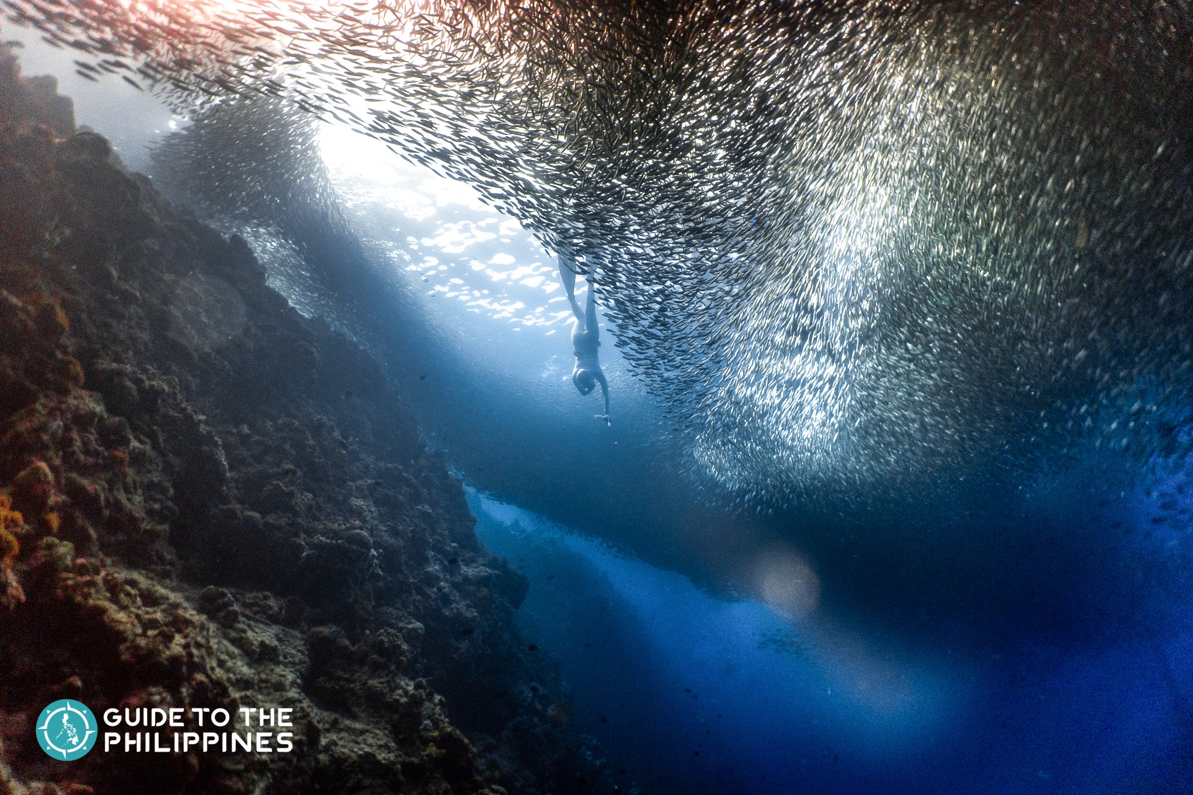 Diver in Moalboal, Cebu