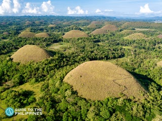 Best Bohol Island Travel Guide: Everything You Need to Know
