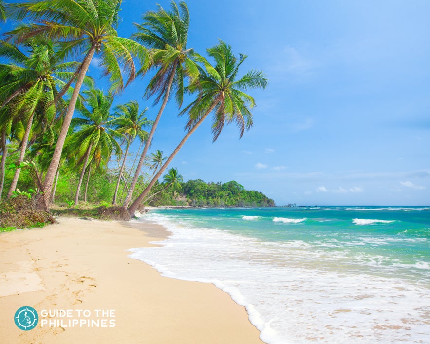 White beach easily accessible by beach resorts in Malapascua Island White beach easily accessible by beach resorts in Malapascua Island