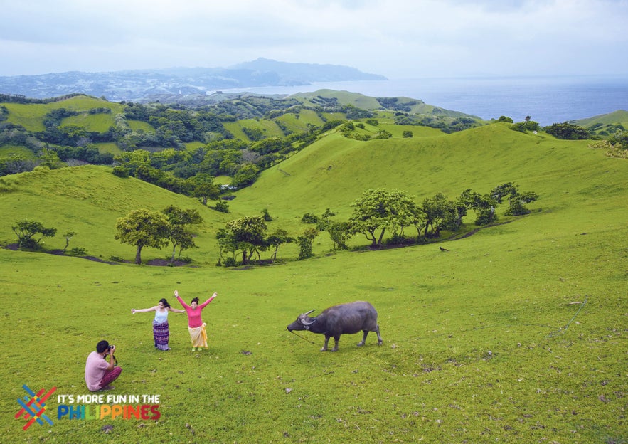Travelers enjoying the view and taking photos at the Vayang Rolling Hills with a carabao in the side Travelers enjoying the view and taking photos at the Vayang Rolling Hills with a carabao in the side