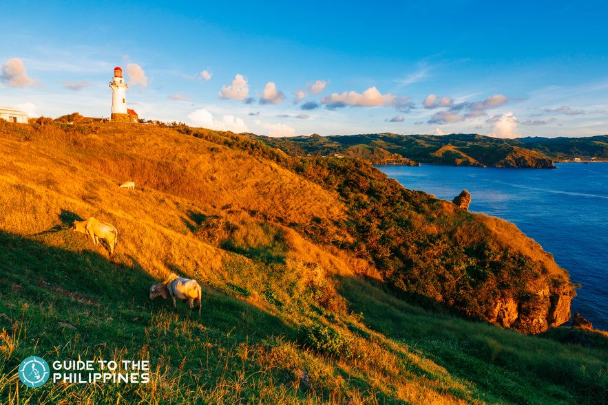 Golden hour at Naidi Hills in Batan, Batanes Golden hour at Naidi Hills in Batan, Batanes