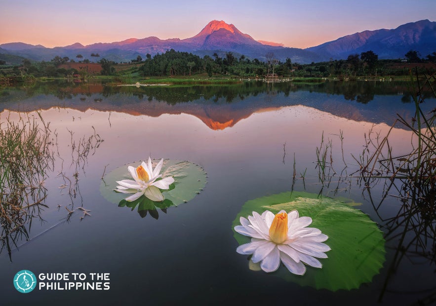 Mount Apo in Davao City is touted as the King of Philippine Peaks Mount Apo in Davao City is touted as the King of Philippine Peaks