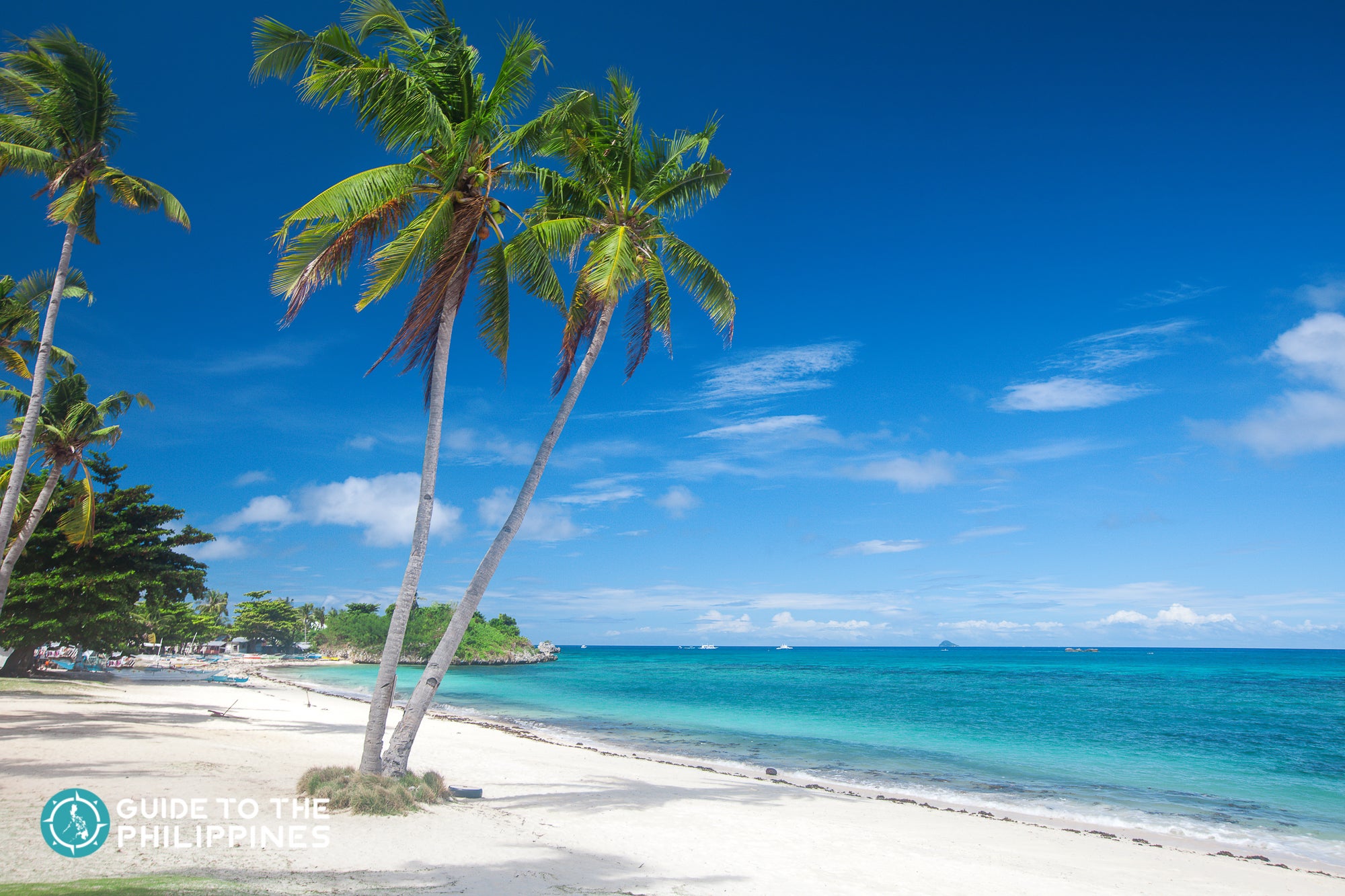 Beach and Coconut Trees in Langob beach, Malapascua island, Cebu