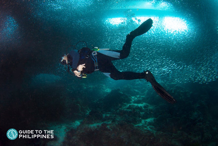 Diver exploring the rich marine life of Moalboal Island, Cebu Diver exploring the rich marine life of Moalboal Island, Cebu