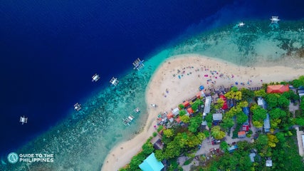 Best Travel Guide to Oslob Town in Cebu Island: Everything You Need to Know