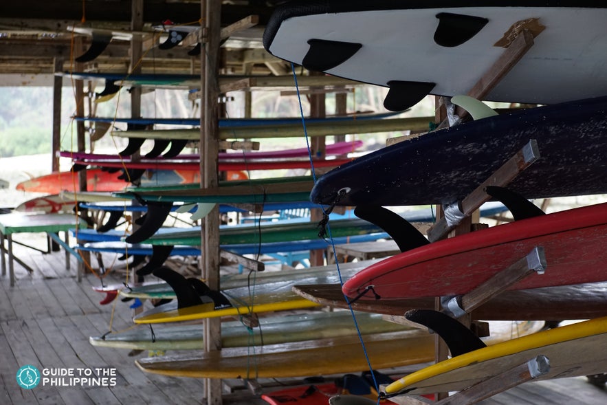 Surf shop with surf boards for rent Surf shop with surf boards for rent