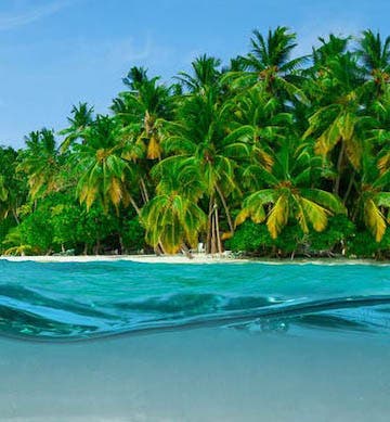 Honda Bay Island Hopping Tours