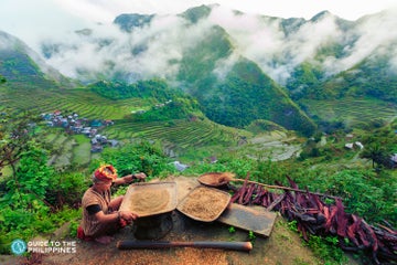 Banaue Travel Guide: Home of Rice Terraces in the Philippines