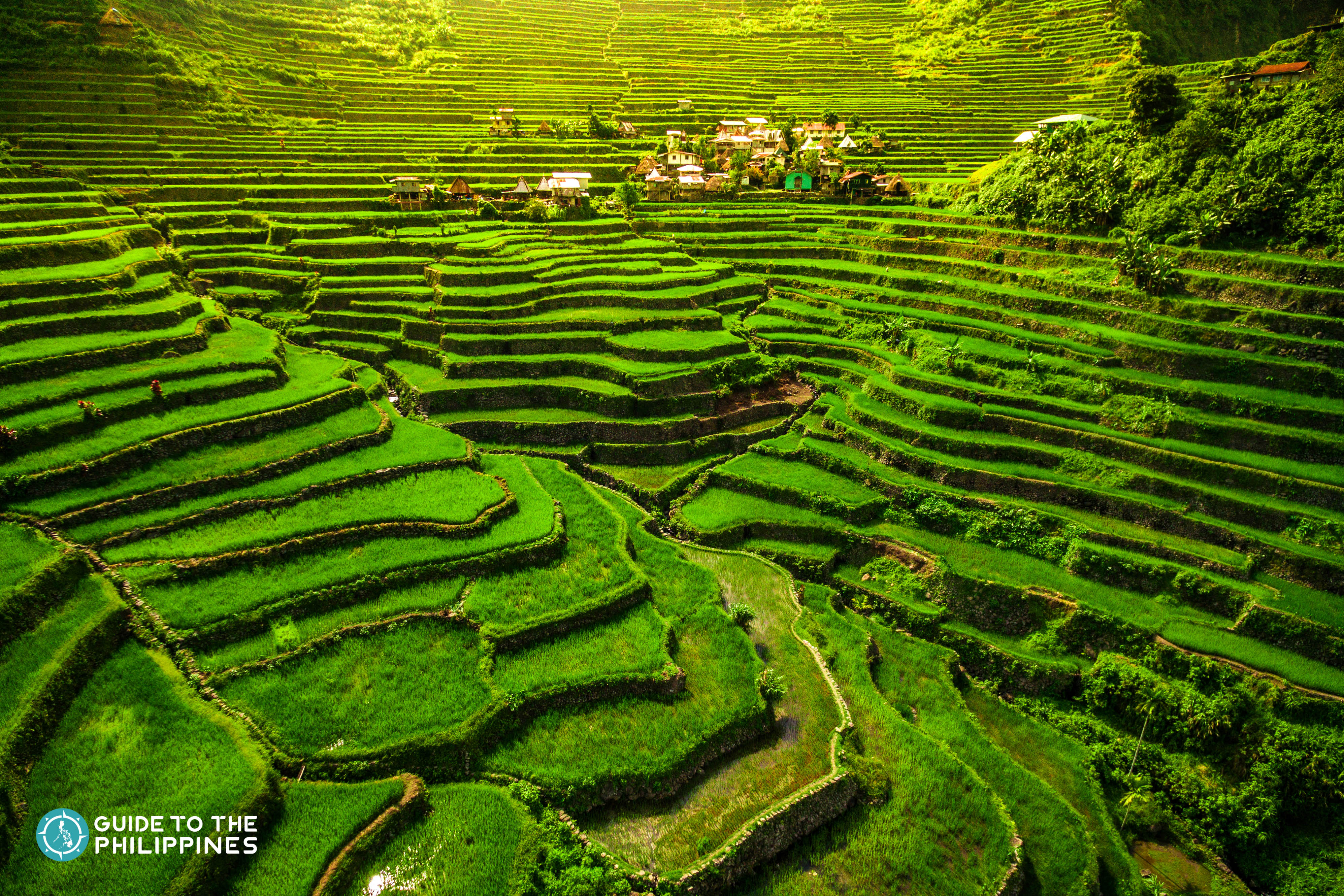 Lush greens of Batad Rice Terraces in Banaue