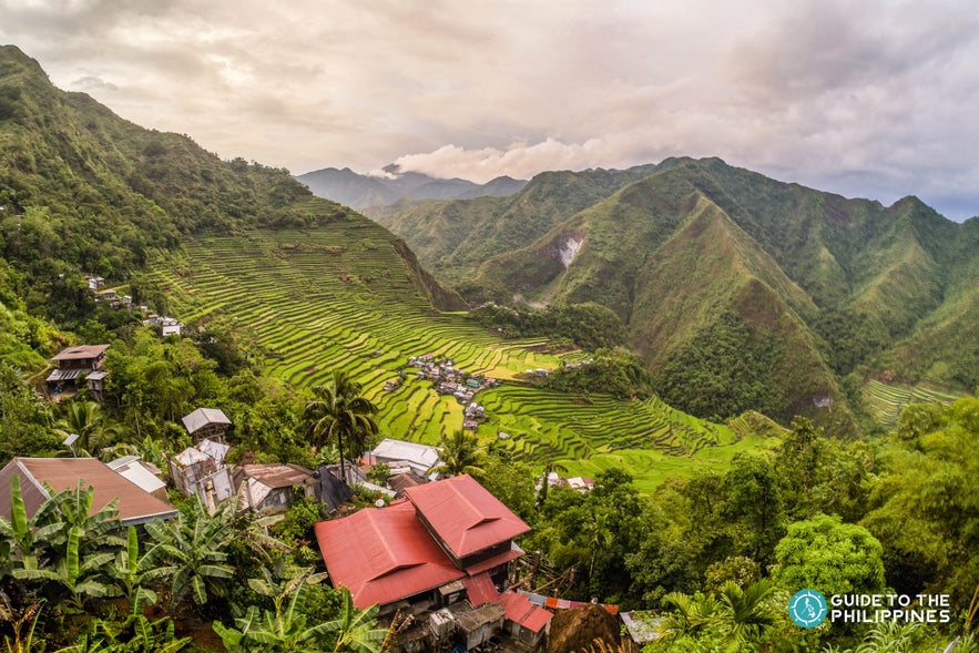 Local houses at Batad Rice Terraces in Banaue Local houses at Batad Rice Terraces in Banaue