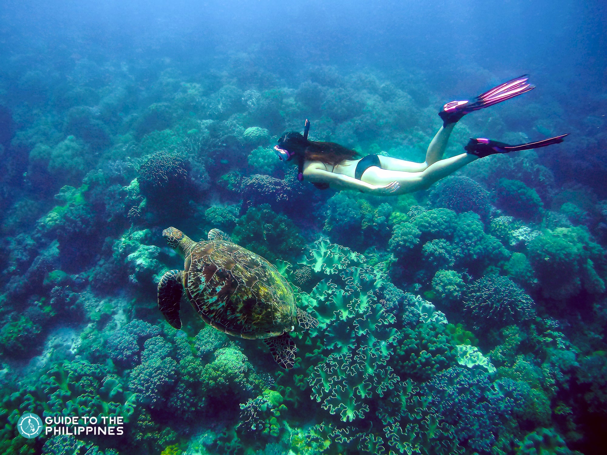 Woman diver at Apo Island, Negros