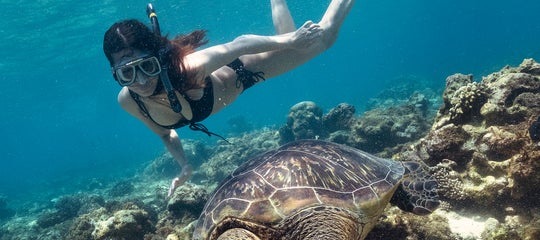 Dumaguete_Negros_Apo_ErwinLim (2).JPG