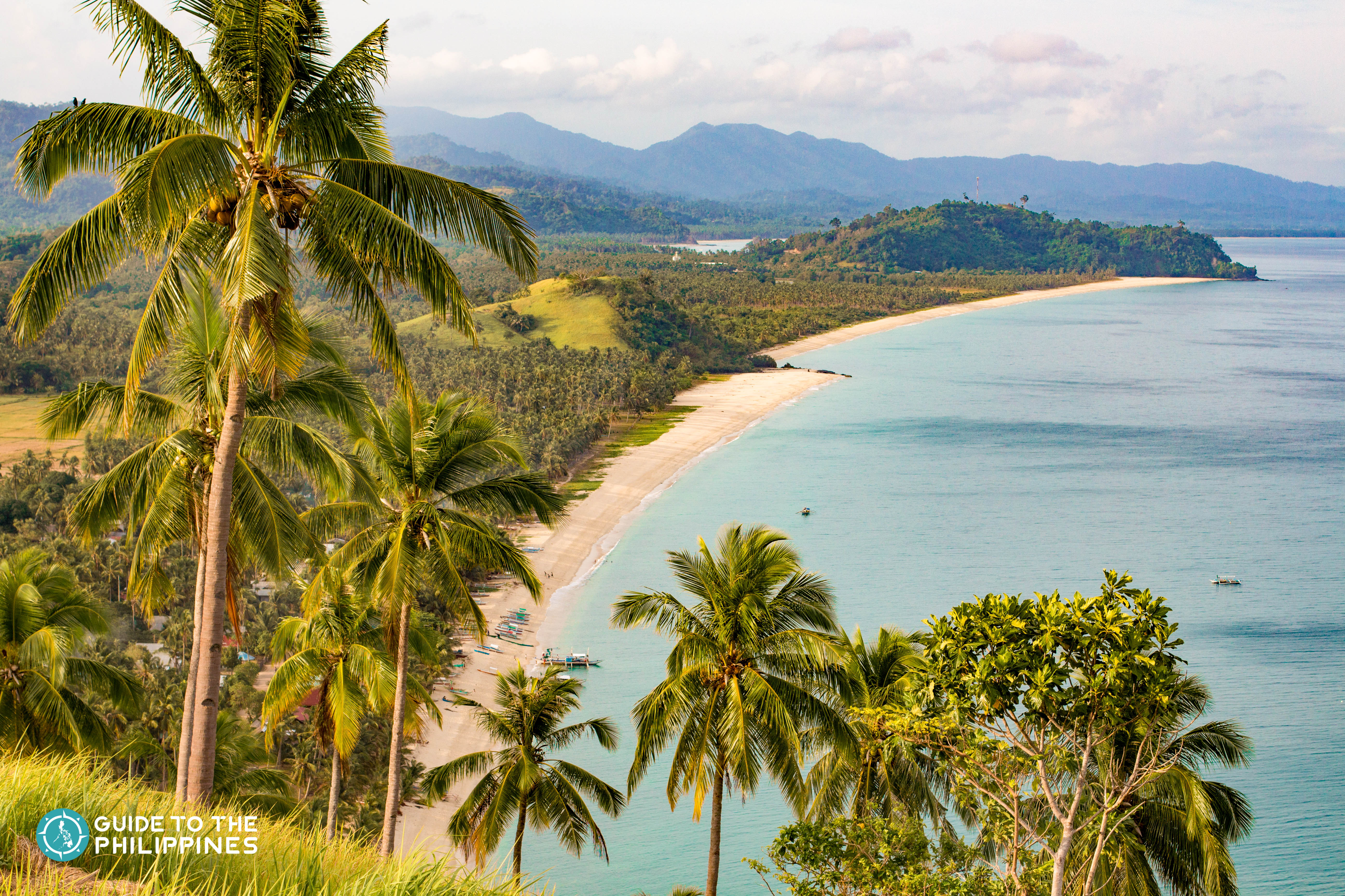 Palm trees and Long Beach in San Vicente, Palawan