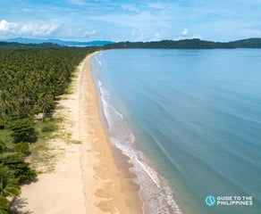 San Vicente Palawan Travel Guide: Home of the Longest Beach in the Philippines