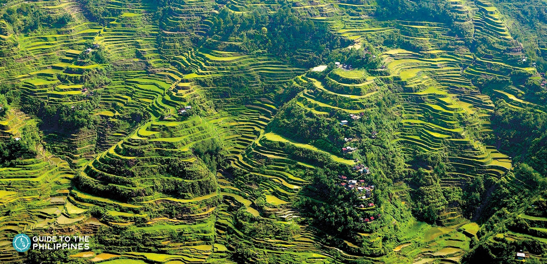 Panoramic View of the beautiful man-made Banaue Rice Terraces