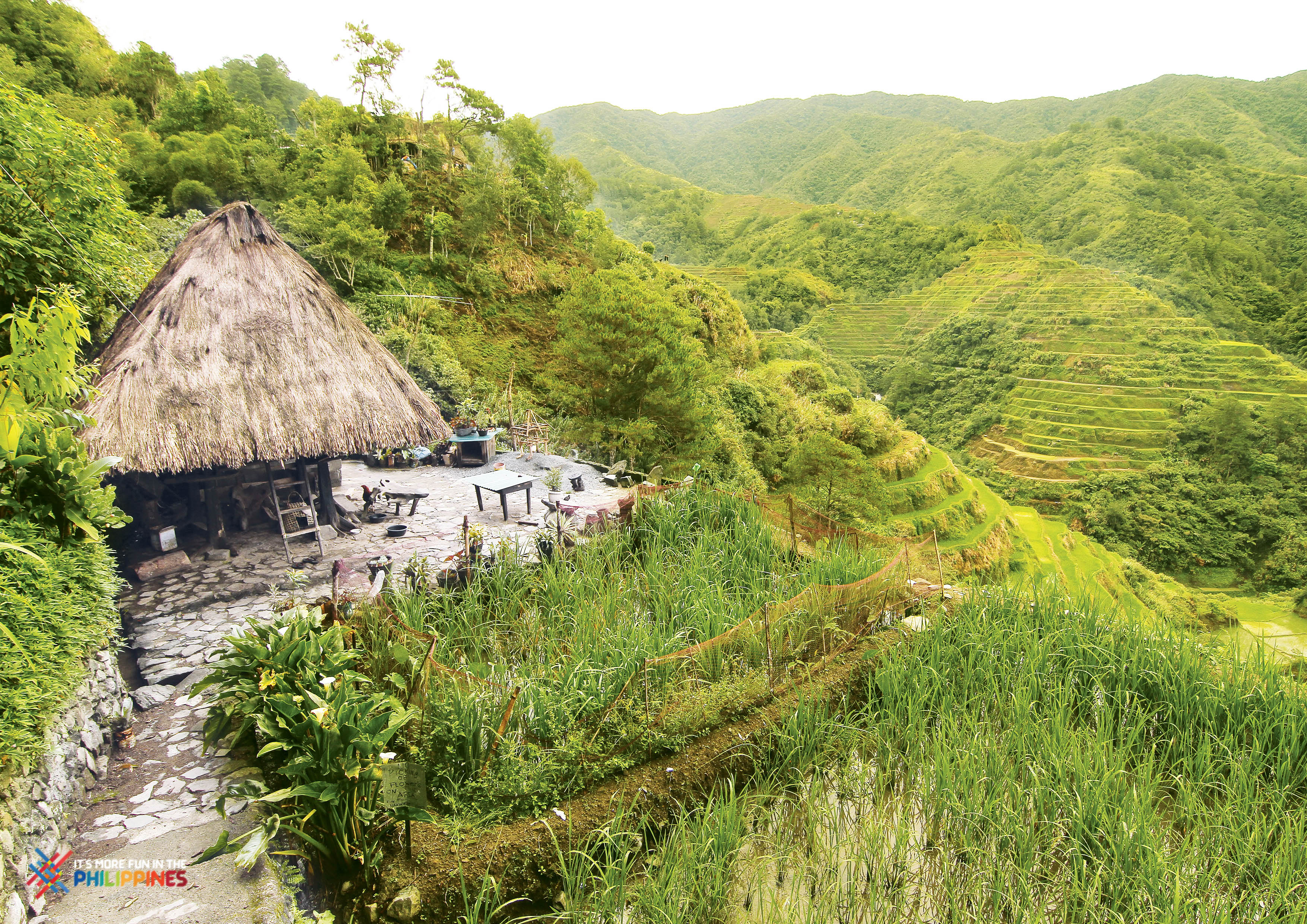 Aguian View Deck in Banaue