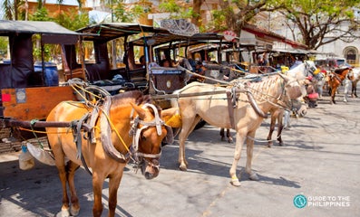 Guide to Vigan City in Ilocos Sur Province: Everything You Need to Know